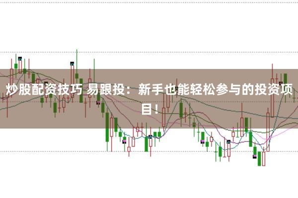 炒股配资技巧 易跟投:新手也能轻松参与的投资项目!