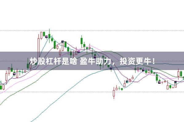 炒股杠杆是啥 盈牛助力,投资更牛!