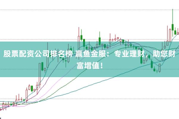 股票配资公司排名榜 赢鱼金服：专业理财，助您财富增值！