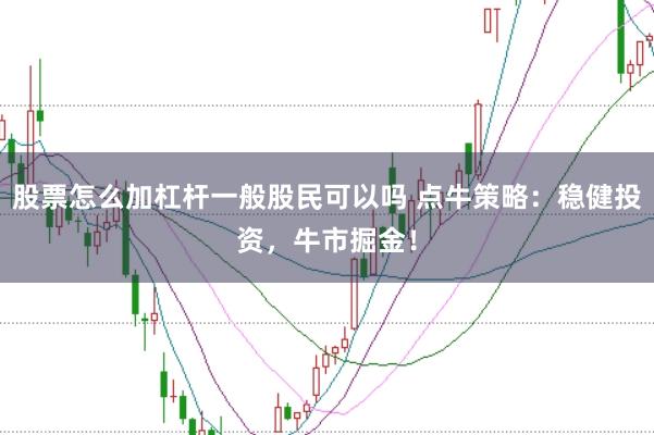 股票怎么加杠杆一般股民可以吗 点牛策略:稳健投资,牛市掘金!