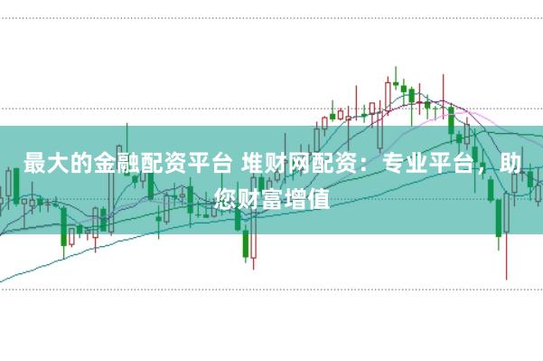 最大的金融配资平台 堆财网配资:专业平台,助您财富增值